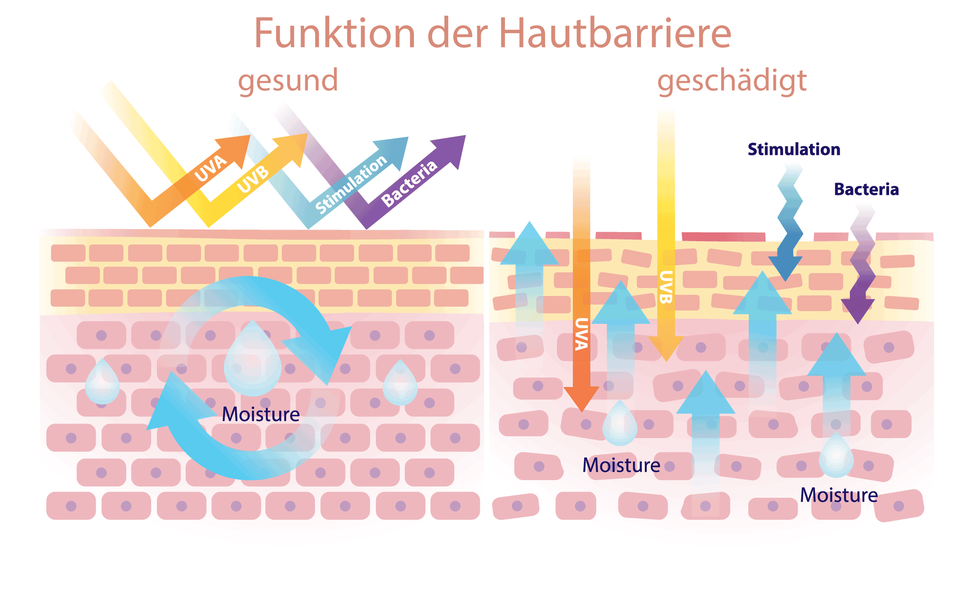 Geschädigte Hautbarriere adé: Effektive Pflegetipps für strahlende Haut