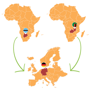 Grafik Import Afrikanischer Kontinent von Botswana und Sambia nach Deutschland