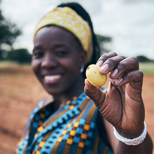 Lächelnde Arbeiterin zeigt eine KENA Marula Frucht in die Kamera in Botswana