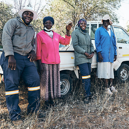 KENA Marula Früchte ArbeiterInnen vor Pritschenwagen Transport in Fabrik in Botswana